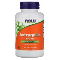 Astragalus Extract 500 mg,   90 caps.